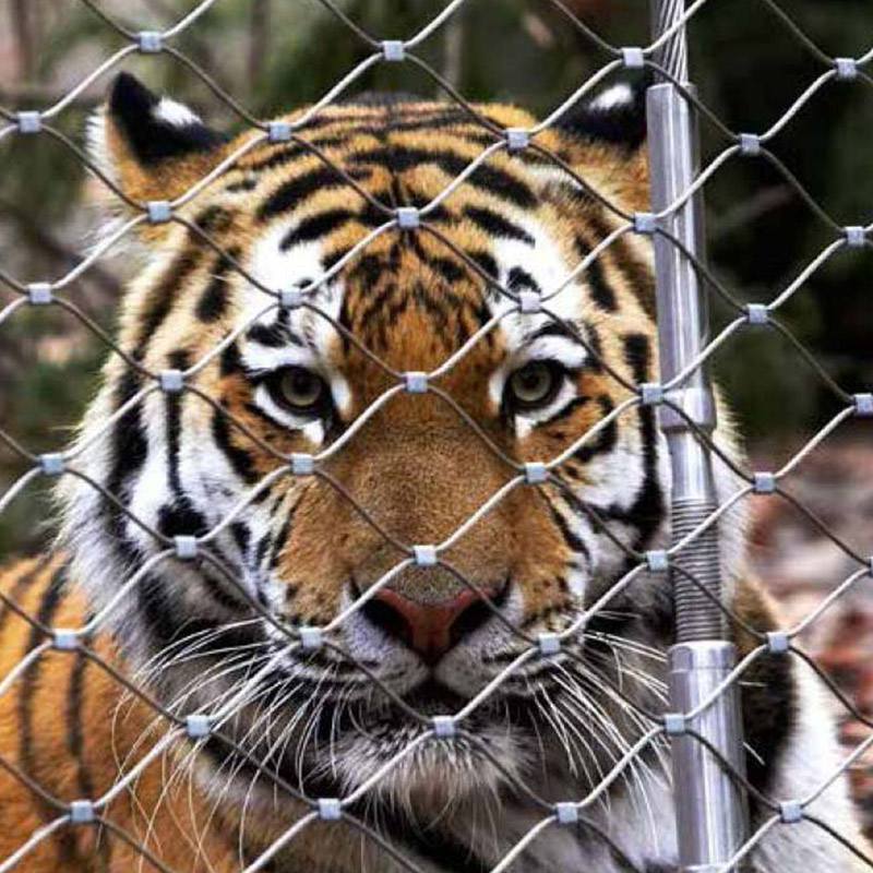 动物园笼舍围网