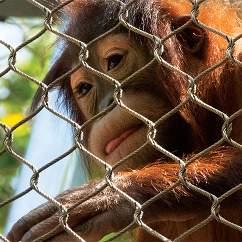 编织不锈钢绳网